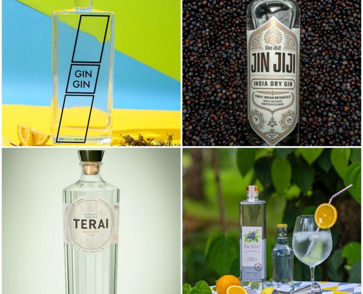 new exciting gins in india